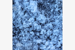 Eis Rosen