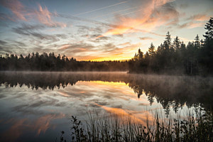 Nebelschwaden im Jura