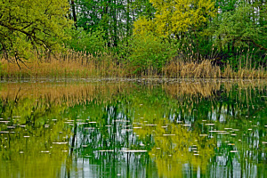 Spieglein, Spieglein...