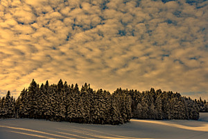 Der Abendhimmel 