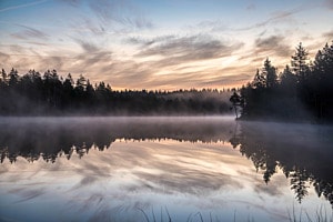 Nebelschwaden im Jura