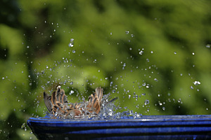 Wasser zum Baden