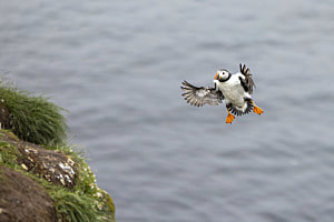 Anflug 