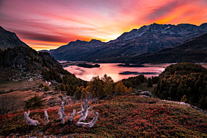 Morgenrot im Engadin