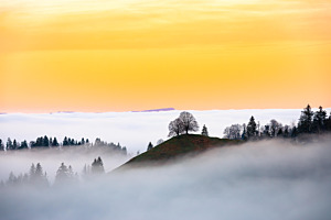 Geschwister im goldenen licht