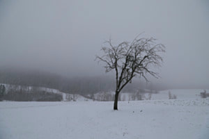 Winterblues