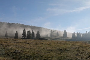 Marcheruz