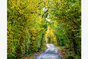 Long way