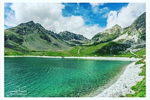 Lej alv