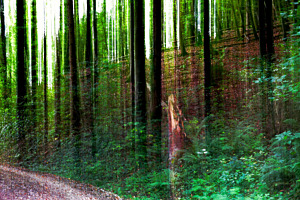 Herbst