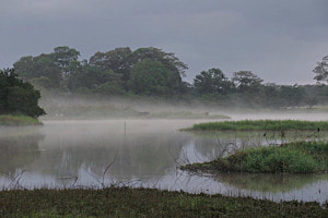 Nebelige Morgenstimmung am See