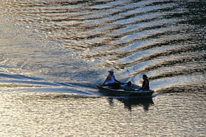 Wellen auf dem See