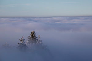 Stille 