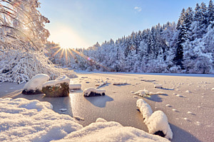 Frostige Stille: Ein eisigkalter Wintermorgen erwacht