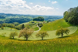 Frühling im Emmental