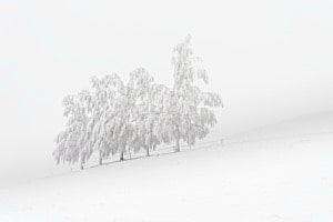 Winterruhe