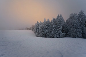 Abendlicht Abendlicht