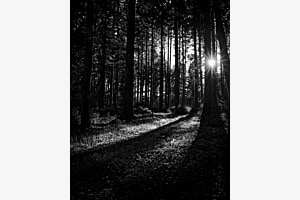 Licht und Schatten