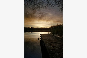 Der Steg ins Licht