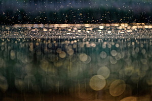 See Bokeh See Bokeh