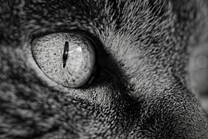 Alles im Blick