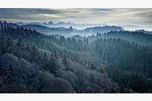 Winter im Emmental