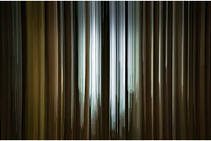 Das Fenster im Wald