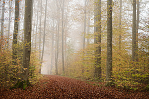 Herbstzauber