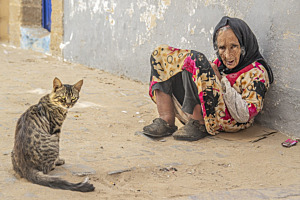 alte frau und katze