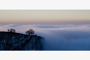 Stille