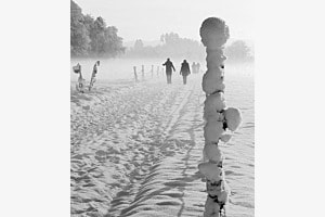                 A walk into the fog