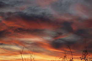 Abendstimmung