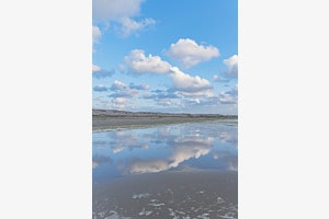 Am Meer
