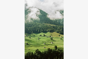 Grüne Landschaften
