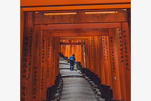 Sauberkeit für Inari