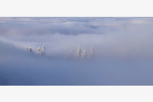 Stille