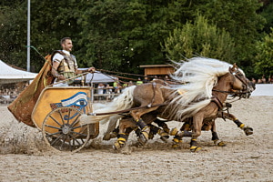 Streitwagen