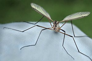 Baldiger Start
