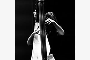 The Sight of Music The Sight of Music
