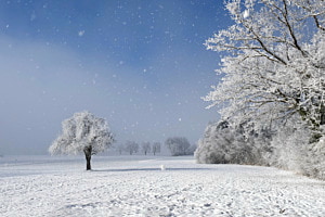 Winter