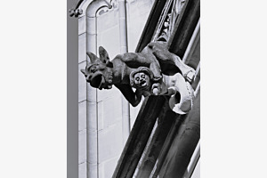 Berner Münster, gfürchige Figur