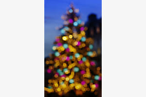 Tannenbaum Tannenbaum