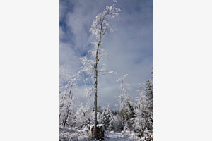 Wintertag