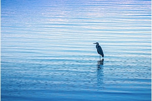 Blaue Weite