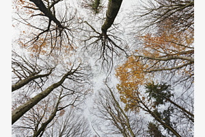 Im späten Herbst
