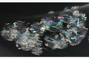 Bubbles Bubbles