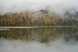 Herbstimmung