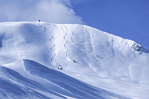 freeriding
