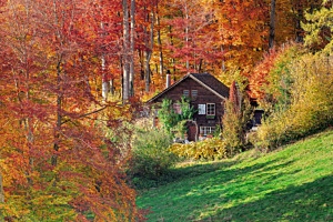 Waldhaus beim Albishorn in Hausen am Albis