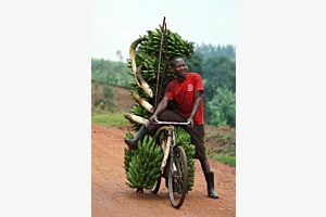 Freies Thema: Overloaded Freies Thema: Overloaded